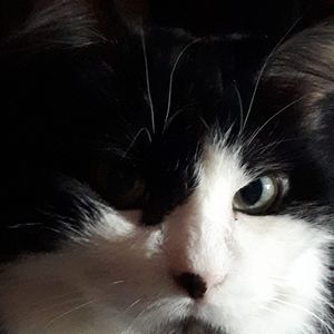 Meet your Posher, Maryann